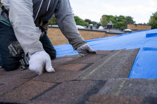 Best Sealant for Roof  in Caro, MI