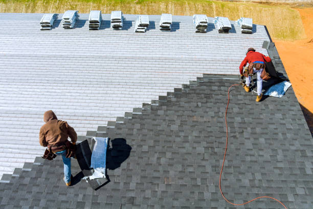 Best Roof Maintenance Services  in Caro, MI