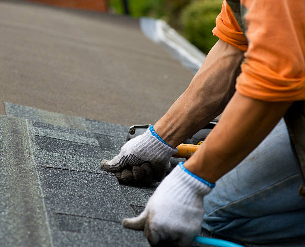 Best Sealant for Roof  in Caro, MI