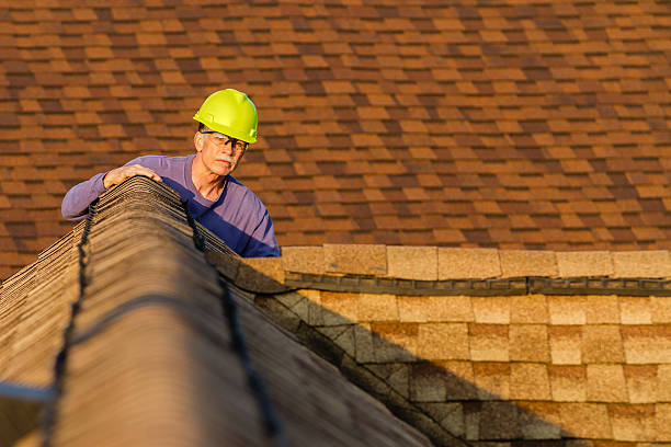 Best Gutter Installation and Roofing  in Caro, MI