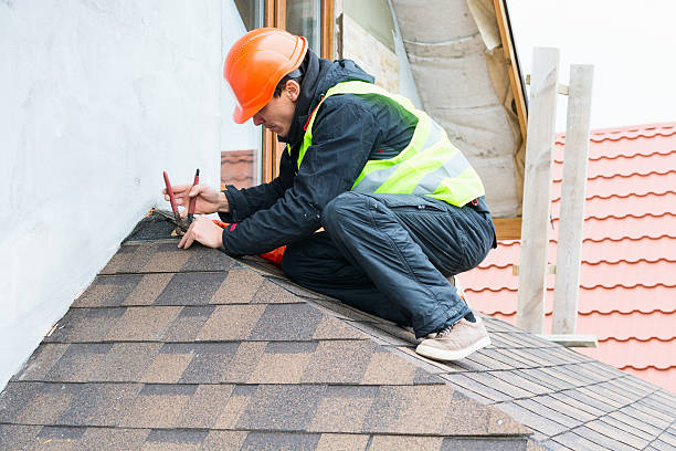 Best Roof Inspection Near Me  in Caro, MI