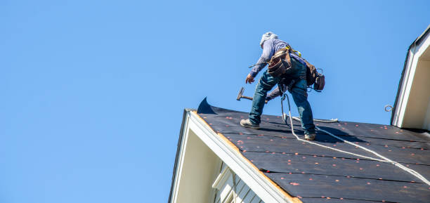 Sealant for Roof in Caro, MI